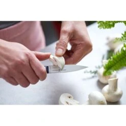 Couteau D'office Opinel Intempora N°225 -Couteaux Série Boutique couteau d office opinel intempora n225 2